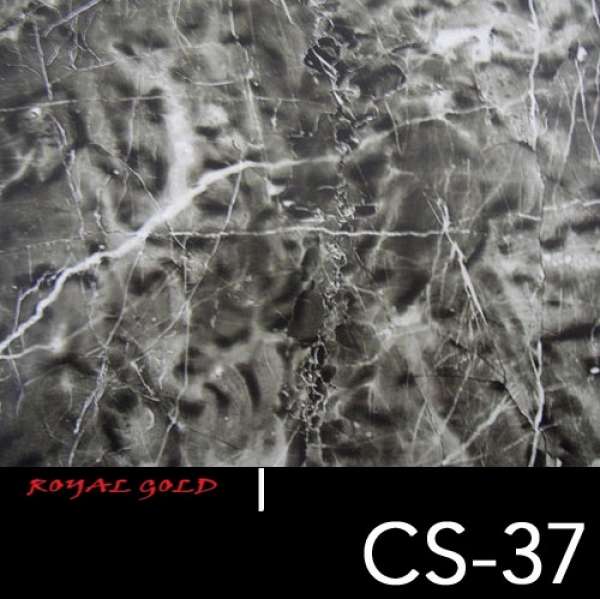 STEIN MUSTER CS 37