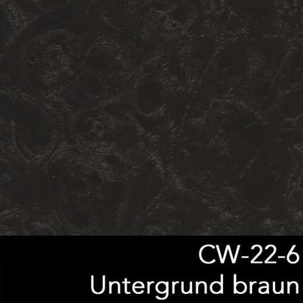 CW-22-6