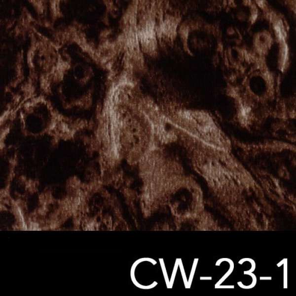 CW-23-1